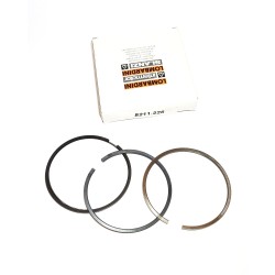 Serie Segmentos 1.00 Motor Lombardini LDW 2204