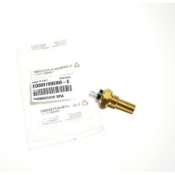 Shock Lombardini LDW 1603
