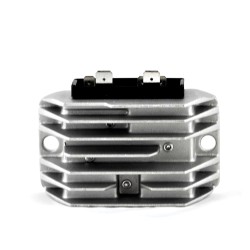 LOMBARDINI AND RUGGERINIREGULATOR