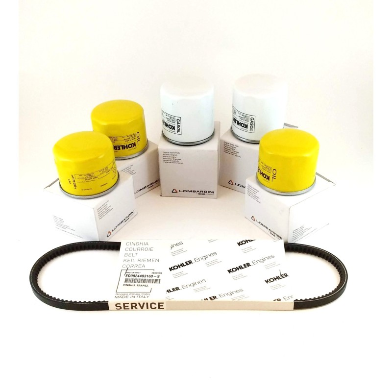 Kit 1000H Mantenimiento LDW 2204