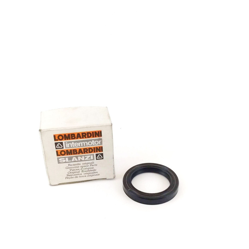 Oil Seal engine Slanzi DVA920