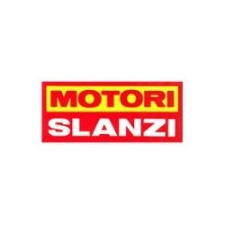 Fuel Filter Slanzi DVA 920