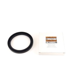 Oil Seal engine Slanzi DVA920