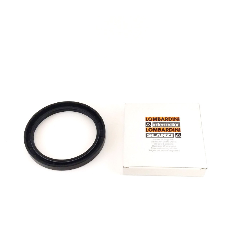 Oil Seal engine Slanzi DVA920