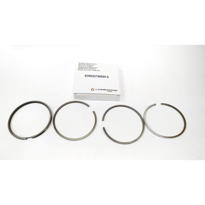 RUGGERINI RD220 RF120 SERIES SEGMENTS