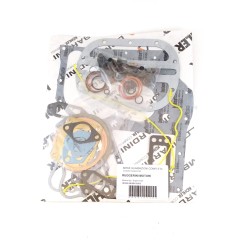 Gasket Kit engine Ruggerini RD 220