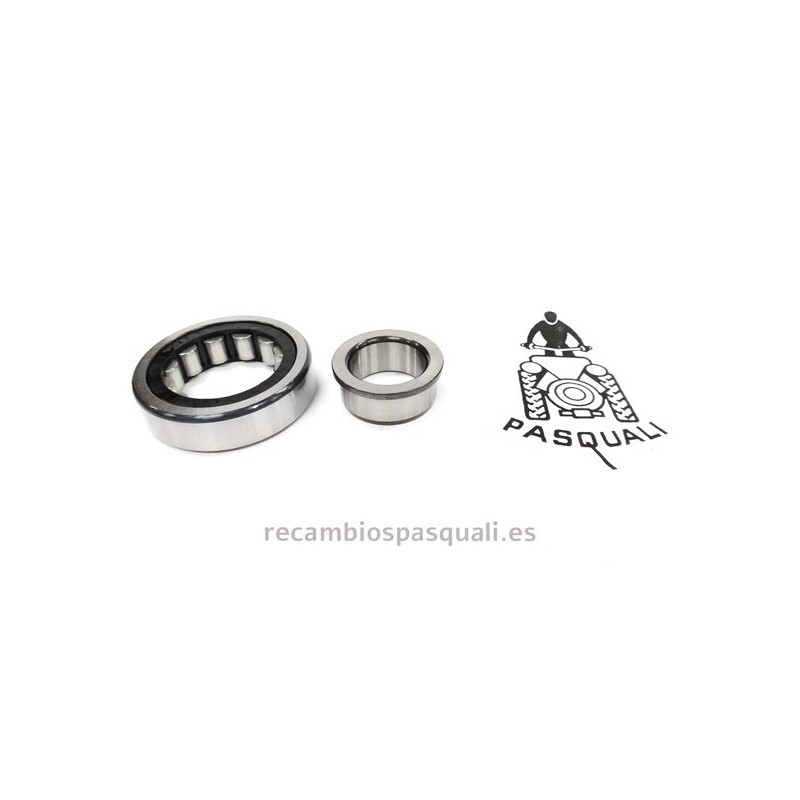Pasquali Tractor Bearing