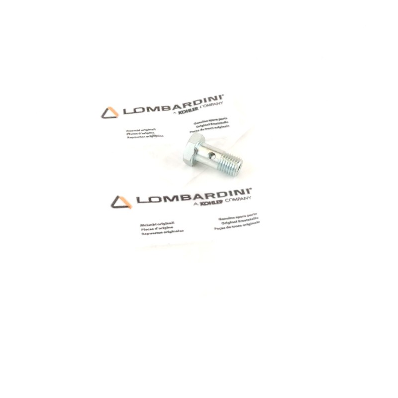 Screw Lombardini 6LD 400