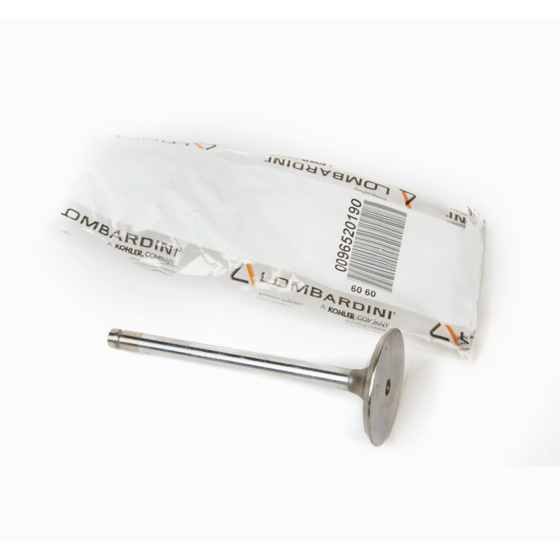 4LD INTAKE VALVE LOMBARDINI