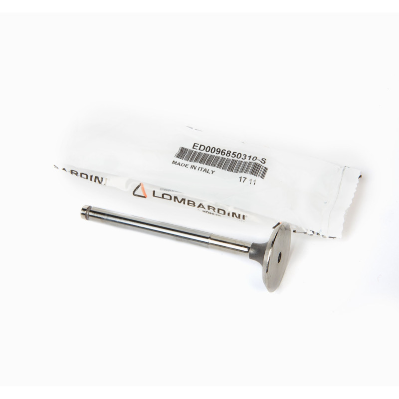 4LD EXHAUST VALVE LOMBARDINI