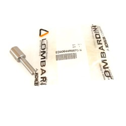 Tobera de Inyector para Motor Ruggerini RD 80