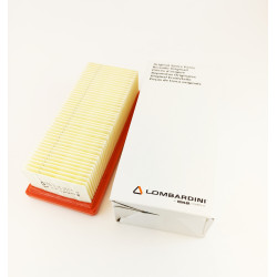 Cartucho Aire Lombardini LGA184