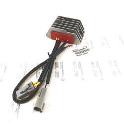 Régulateur de tension Lombardini LDW 1003