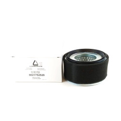 Dry Air Filter Cartridge Lombardini 15LD500