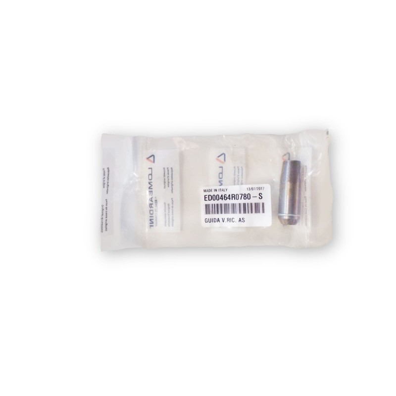 Valve Guide Ruggerini RD 850