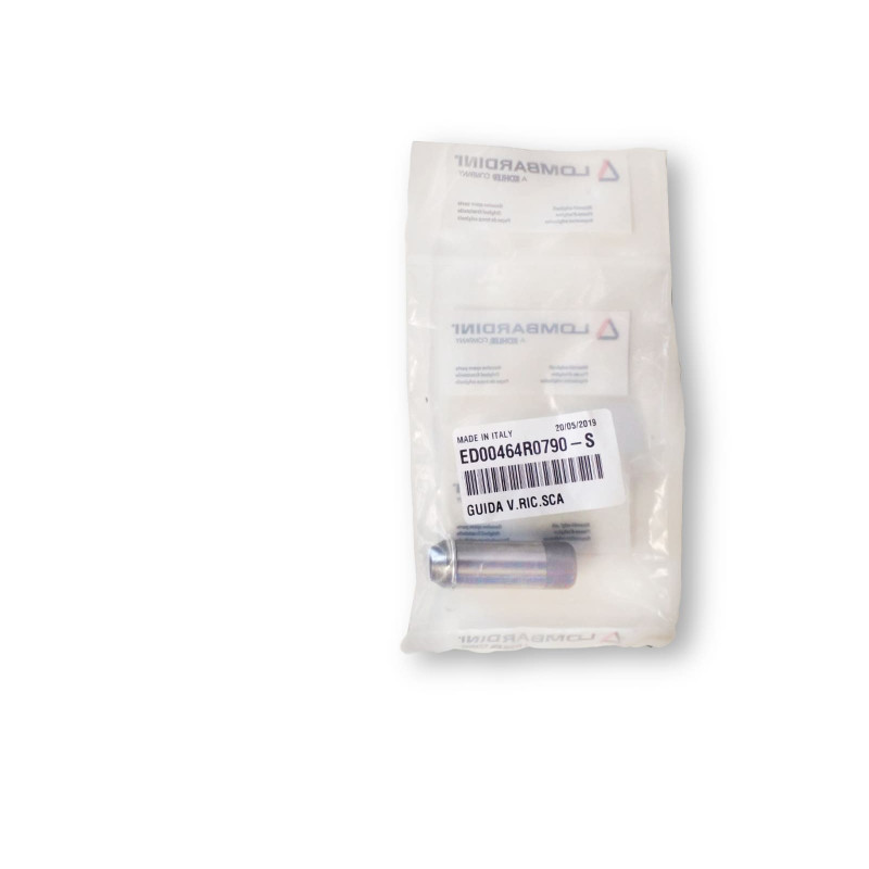 Exhaust Valve Guide Ruggerini RD 850