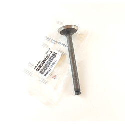 Valve exhaust Ruggerini RD92/2