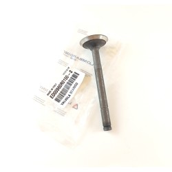 Valve exhaust Ruggerini RD92/2