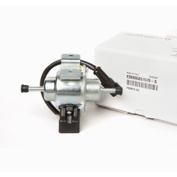 ELECTRIC FEED PUMP LOMBARDINI