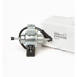 LDW Lombardini Feed Pump