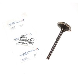 Lombardini Inlet Valve LDW