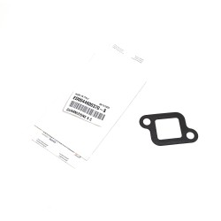 Engine Gasket Lombardini LGW LDW Sileo