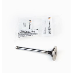 15LD EXHAUST LOMBARDINI VALVE
