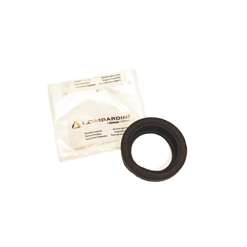 Air Filter Ring Lombardini 15LD440