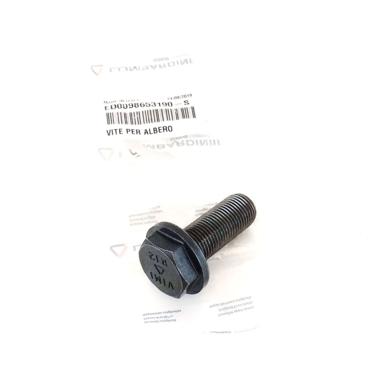 Screw M16x1.5 Lombardini LDW 1603