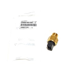 LDW Lombardini Thermostat