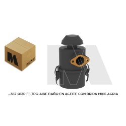 Minsel M165 (096) Filtro de Aire Baño Aceite con brida Motoazadas