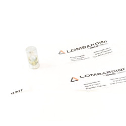 Muñon Pasante Lombardini 6LD