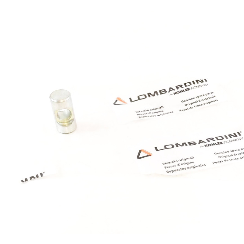 Souche traversante Lombardini 6LD