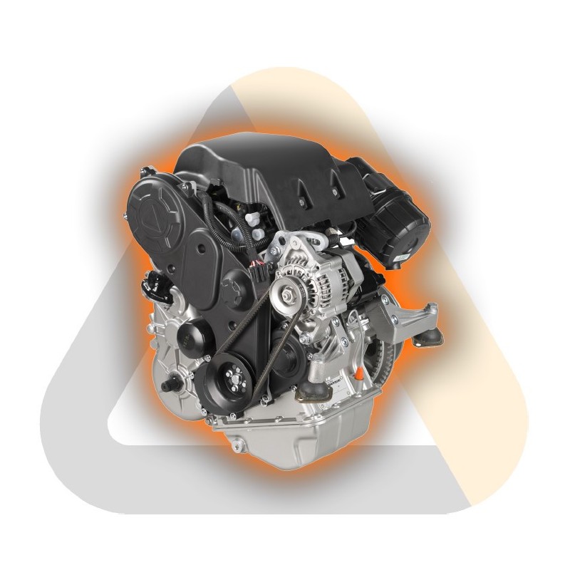 Motor Aligerado Lombardini LDW 442