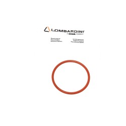 O-ring Lombardini LDW Marine 1404 M