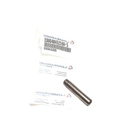 Intake valve guide Lombardini LDW442