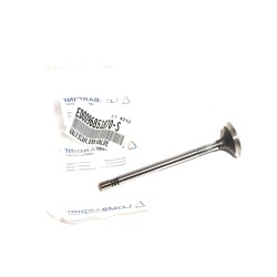 Lombardin LDW442 exhaust Valve