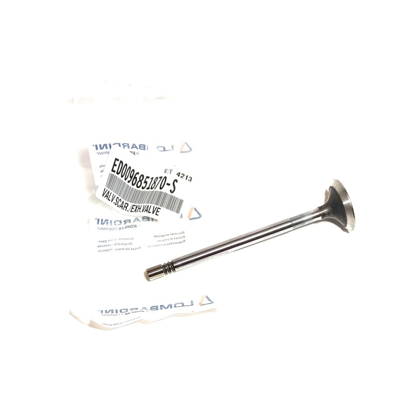 Lombardin LDW442 exhaust Valve