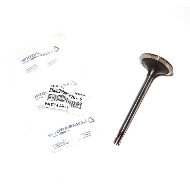 LDW Intake Valve Lombardini