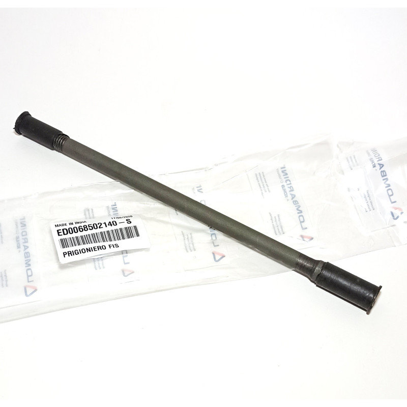 Asparagus for engines Lombardini