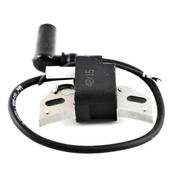 COIL ON LOMBARDINI IM250, IM300