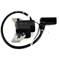 COIL ON LOMBARDINI IM250, IM300