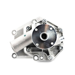 LDW Lombardini Water Pump