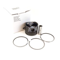 Piston Complete std Lombardini LDW 1003