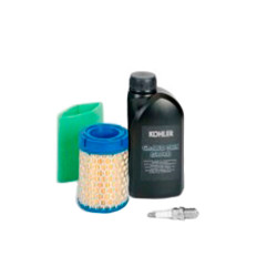 Maintenance kit for engine