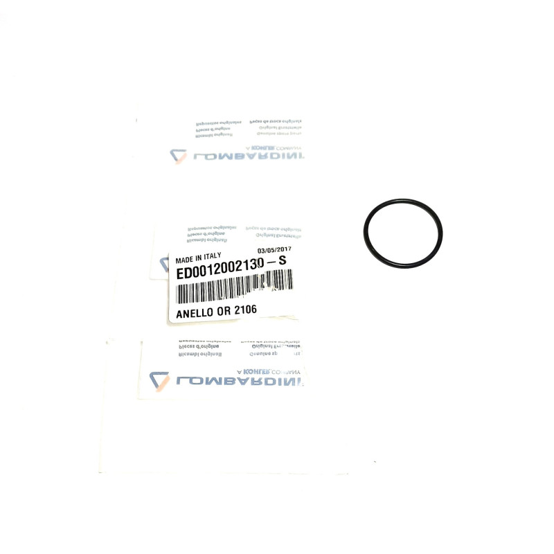 Torica motor Lombardini