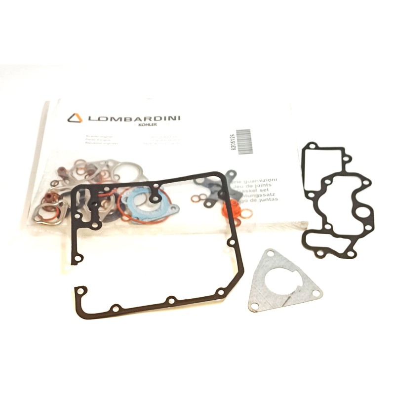 Complete series of rings and gaskets Lombardini LDW 702