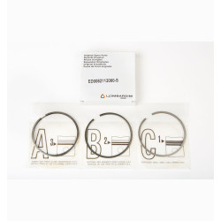 SERIE SEGMENTOS STD RUGGERINI RD RF LOMBARDINI