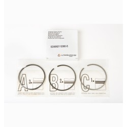 SERIE SEGMENTOS STD RUGGERINI RD RF LOMBARDINI