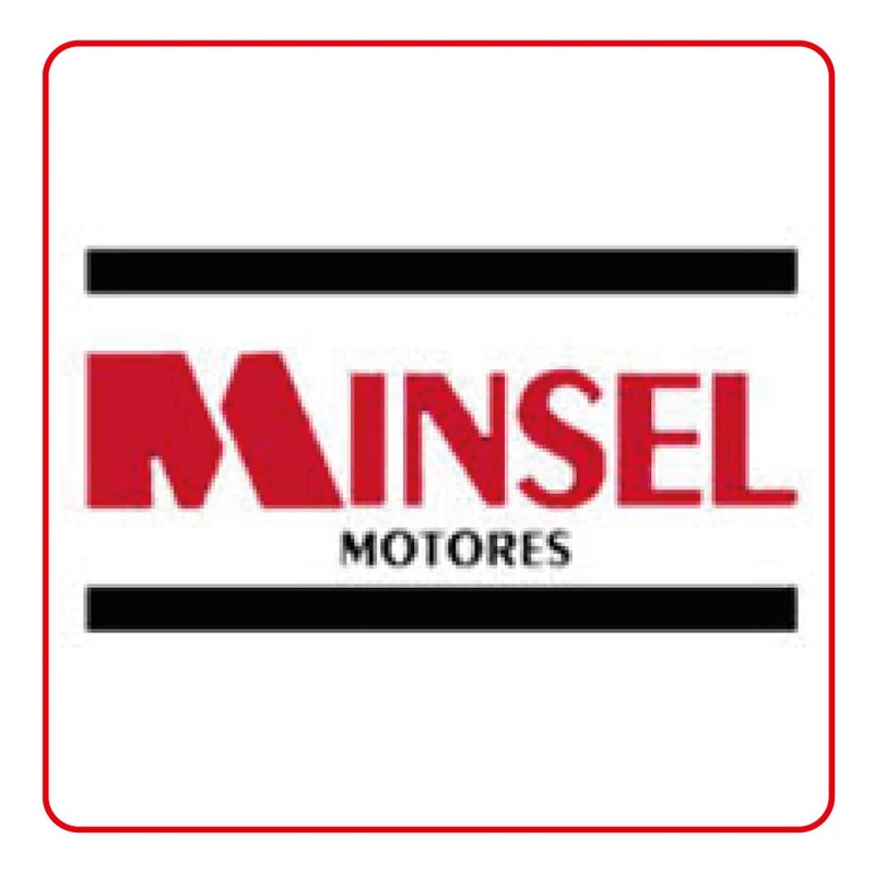 Diesel Motor Minsel Varillas Tubo Combustible